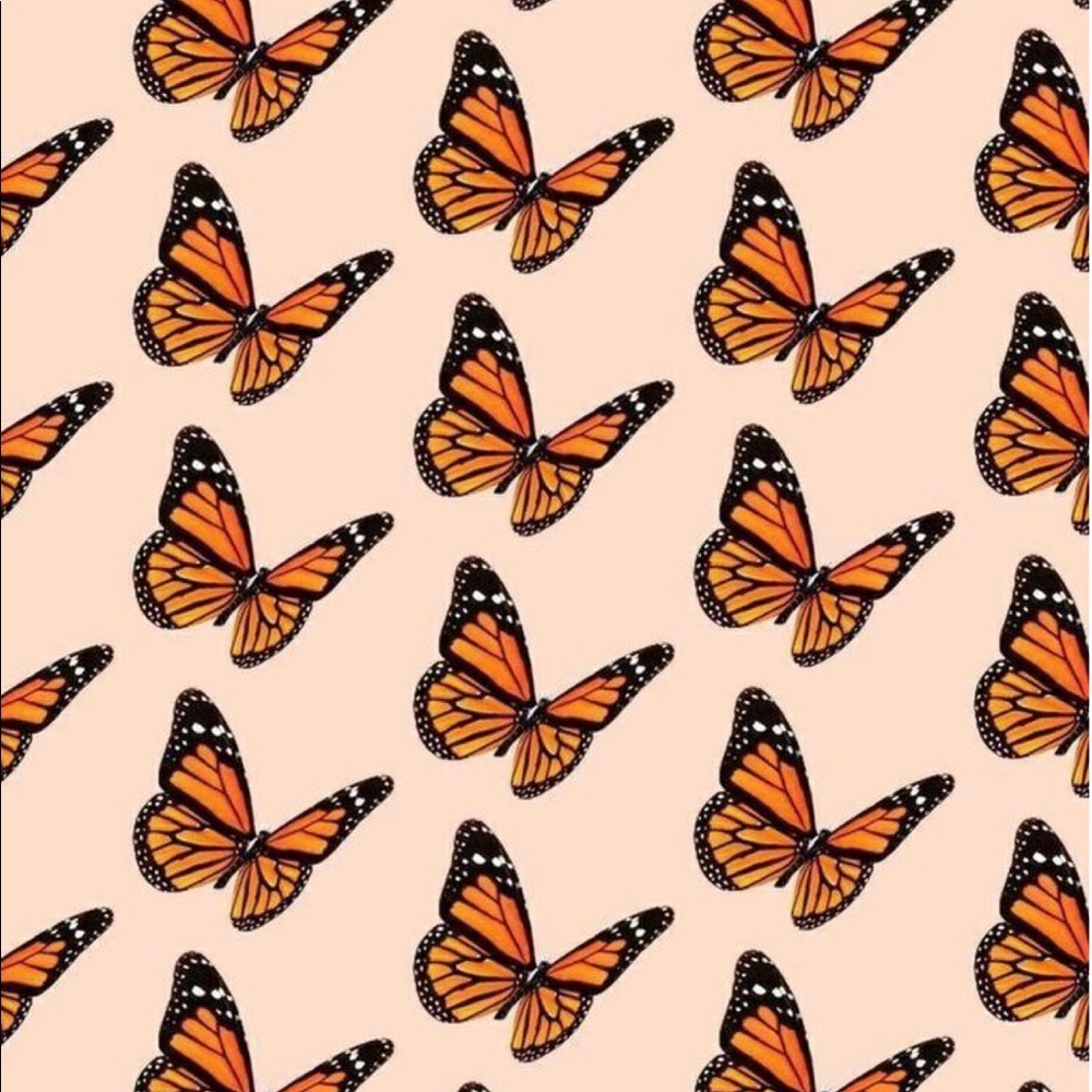 Meet your Posher, Anna!